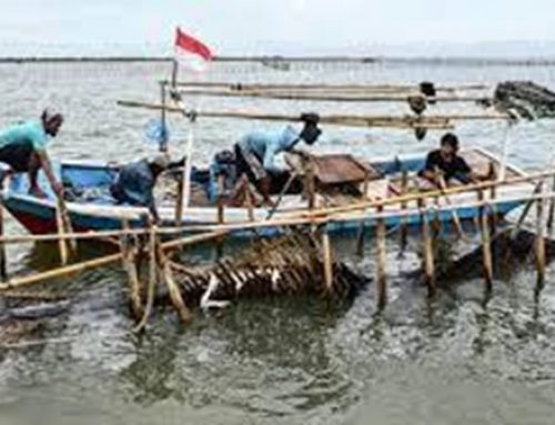Pagar Laut Tangerang : Bolehkah Laut Dimiliki Perorangan? Bagaimana Dengan Sertifikat Hak Milik dan Hak Guna Bangunan?