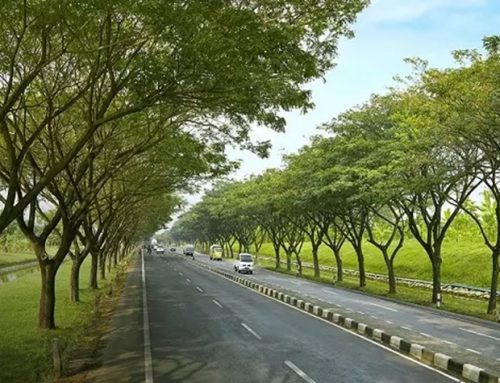 Kota Rawan Bencana: Menjaga Ketahanan Perkotaan di Tengah Perubahan Iklim