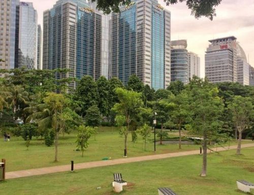 Kurangnya Tren Hutan Kota di Indonesia: Tantangan dan Peluang Masa Depan