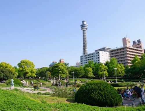 Menata Kota Masa Depan Lewat Ruang Hijau: Pelajaran dari Yokohama
