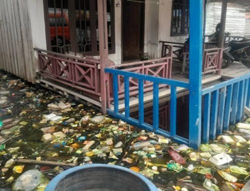 Permukiman Tidak Sehat, Lahan Subur Bagi Infeksi Cacing